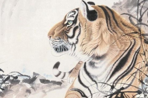 屬虎的幾月出生最好命