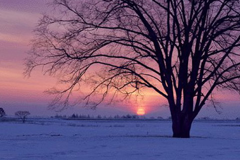 2022雙魚星座的事業