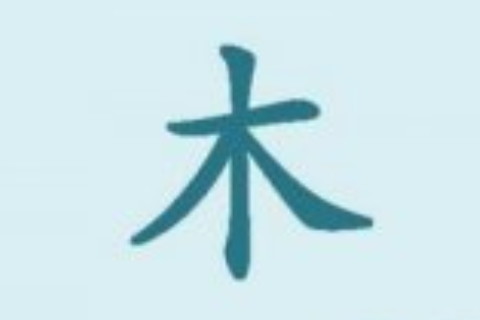 八字缺木的人應(yīng)該如何化解
