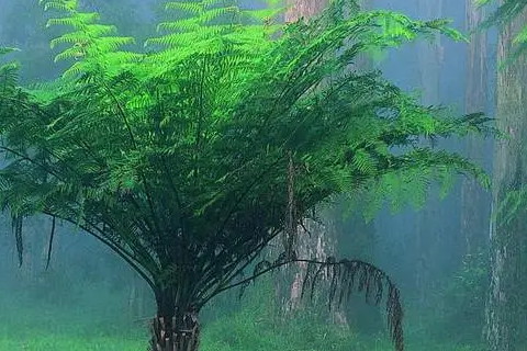 2022雙子星座的事業(yè)