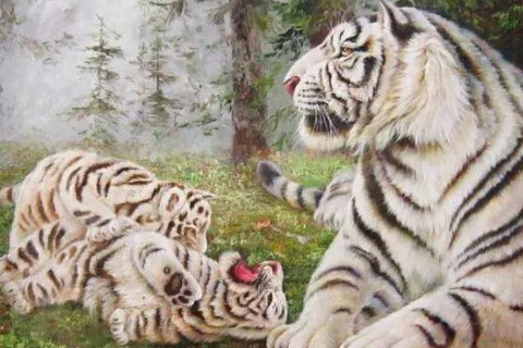 屬虎不同月份的命運