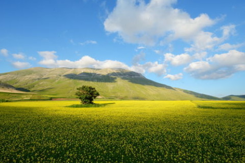 巨蟹座恐懼自己失去愛情