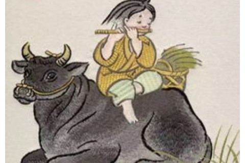 牛女的上等婚配生肖