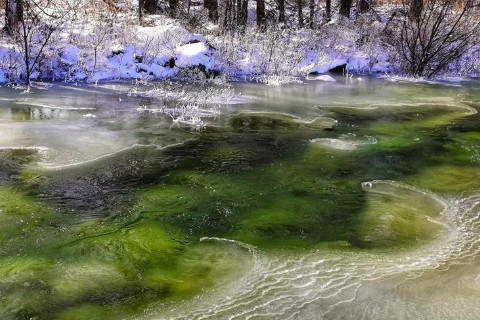 白羊座恐懼自己變得沒有行動力