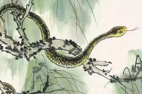 不同類型的女性夢到蛇