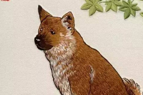 　與屬狗絕配的生肖