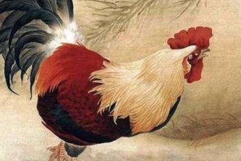 　與屬雞絕配的生肖