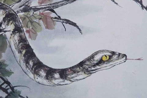 女人夢到被蛇有所接觸