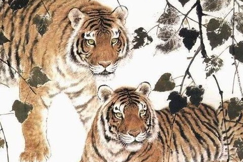 　生肖虎什么月份最不好