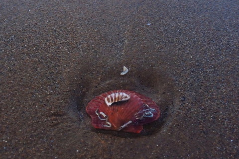 　　2022年水瓶座的水逆期是什么時(shí)候