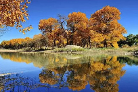 水瓶座恐懼自己被監(jiān)視