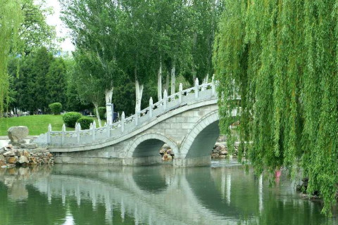 巨蟹座恐懼自己沒有知己