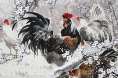 　雞女的上等婚配生肖