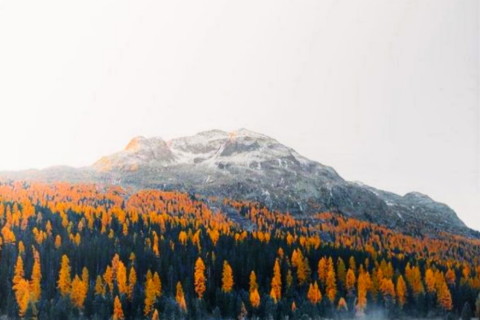 天蝎座恐懼自己變得沒有理智