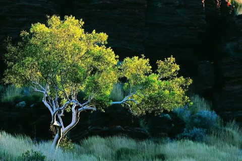 2022金牛星座的事業