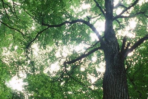 2022水瓶星座的事業