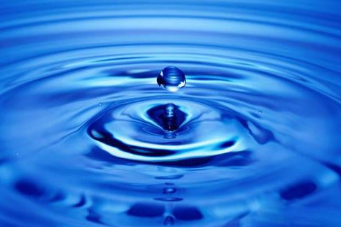 五行缺水的人該從事什么行業