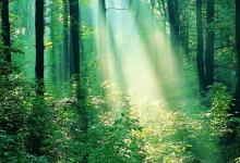 2022年獅子座的運勢 獅子的事業、愛情與財運