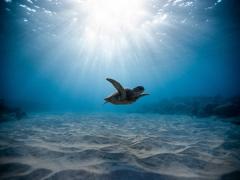 水命為什么怕水，水命五行強(qiáng)弱分析