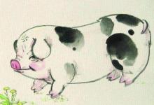 屬豬2022年一月份的愛情 生肖豬的運勢與事業