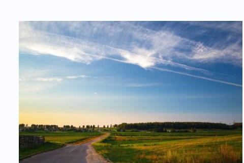 屬狗女比屬虎男大四歲可以嗎?婚姻感情如何