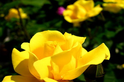 八字是除夕和七夕的能合婚嗎?八字合婚準(zhǔn)嗎過來人