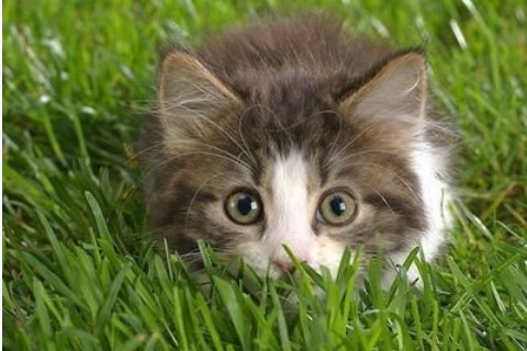 2022年農村建房的朝向如何選擇?挑選房子住址