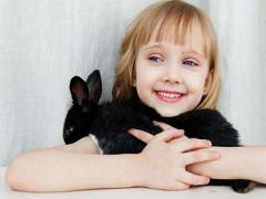 顴骨笑起來有窩的面相好不好?