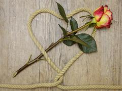 水命寶寶可以帶什么?如何通過五行挑選?