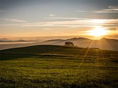 虎年 石矛誕生了什么樣的老虎?命運如何?