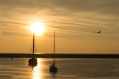 虎年中午出生的人是什么性格?命運如何?