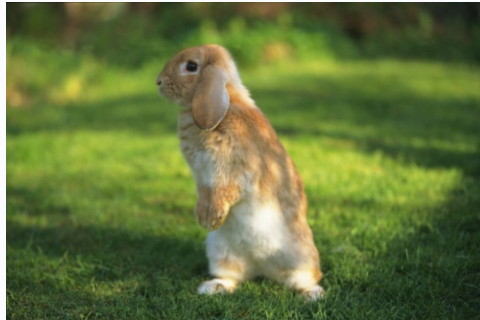 77年屬蛇適合住幾樓?屬蛇家居風水要注意什么