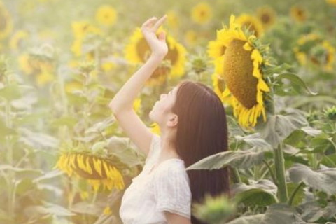 女命甲午日柱好不好?甲午日女的感情