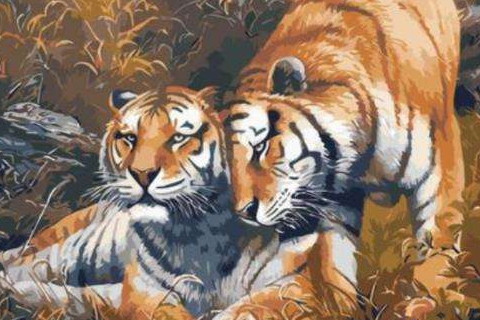 2022年屬虎本命年佩戴什么,虎年生肖戴三合好還是6合好