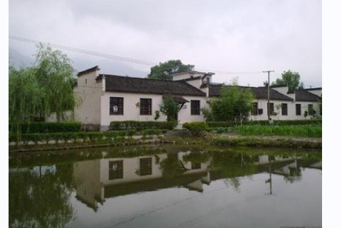 辦公室擺放鮮花植物有什么講究?有哪些注意事項