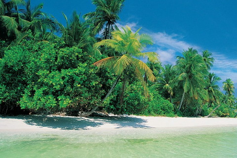 命里無姻緣的人有什么特征?八字是什么