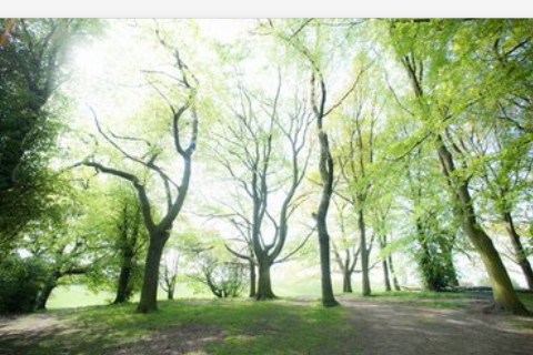 中考風水擺放有哪些講究?增加考試運的方法