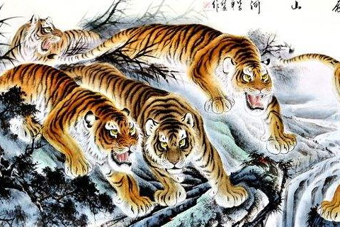 2022年屬虎本命年運氣好不好,虎年屬虎的是什么命