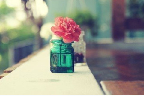 辦公室擺放鮮花植物有什么講究?有哪些注意事項