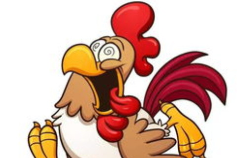 2005年屬雞男2022年運(yùn)勢及運(yùn)程如何 05年的17歲生肖雞2022虎年全年每月運(yùn)勢男性