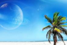 虎和牛合不合 有什么講究嗎