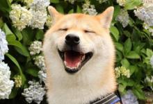 微笑掛臉上的天秤座內(nèi)心是怎么樣的 不愛討好任何人的金牛座心里怎么想