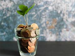 虎年出生是最好的生日嗎?海虎的命運分析