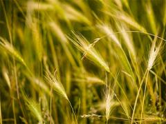 殷瑛一年中生活最激烈嗎?有哪些優點和缺點?