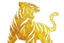 1986年屬虎女人2022年運(yùn)勢(shì)及運(yùn)程如何 86年36歲生肖虎2022年全年每月運(yùn)勢(shì)女性