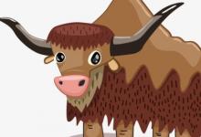 1973年屬牛女人2022年運勢及運程如何 73年49歲生肖牛2022年全年每月運勢女性