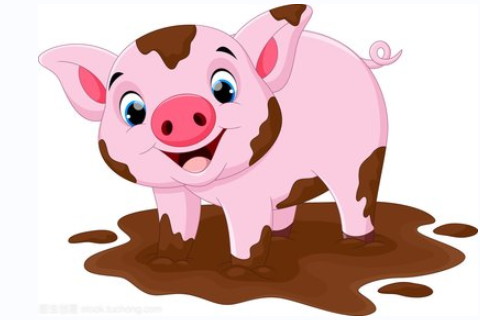 什么時辰出生的人命好?時辰能決定運勢嗎