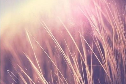 哪些手相是當(dāng)老板的命 當(dāng)老板的面相特征