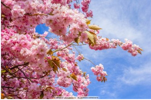 啥樣的面相在2022年易發偏財