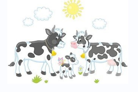 平地木命五行缺什么?適合什么顏色